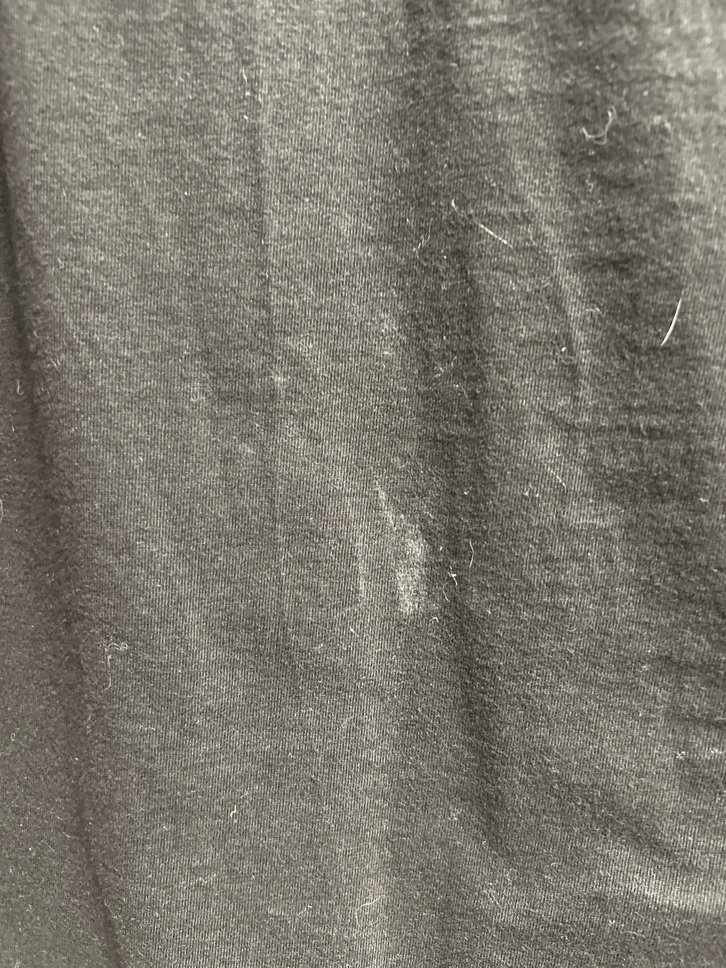 Zombielobet 2015 tshirt