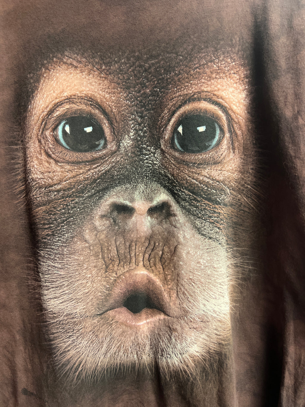 Monkey The Mountain T-shirt