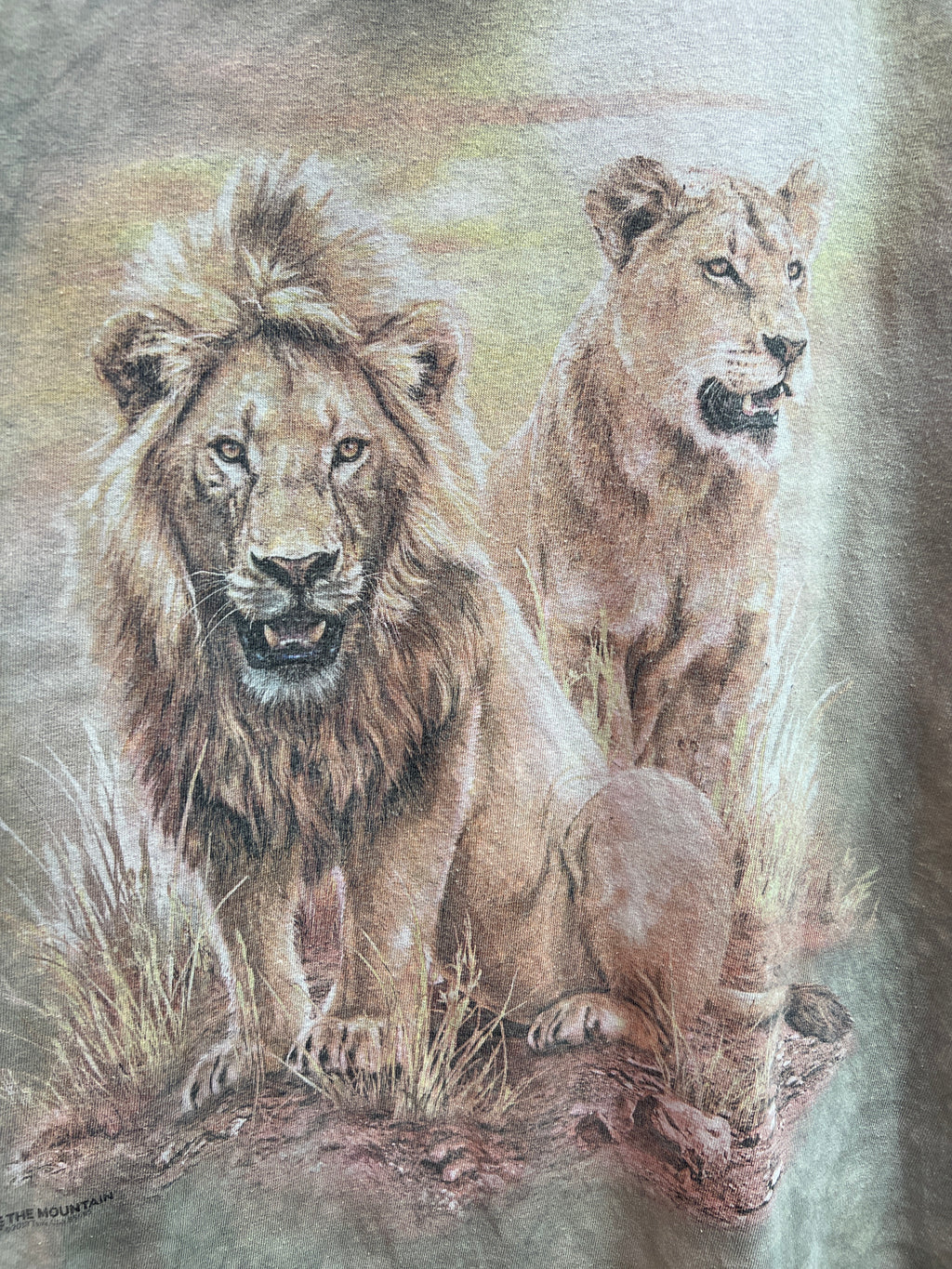 Lions The Mountain t-shirt