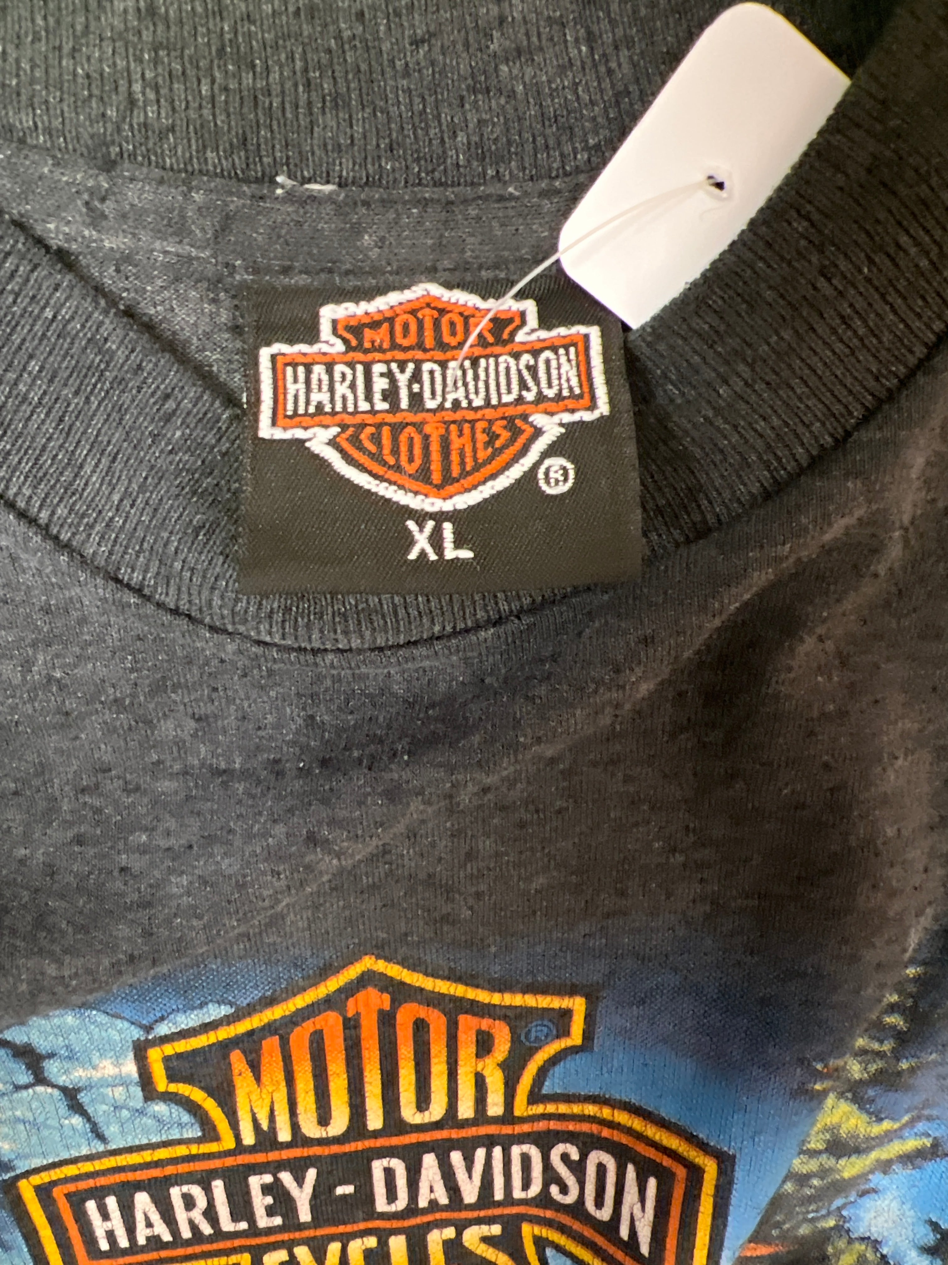 Harley Davidson 91