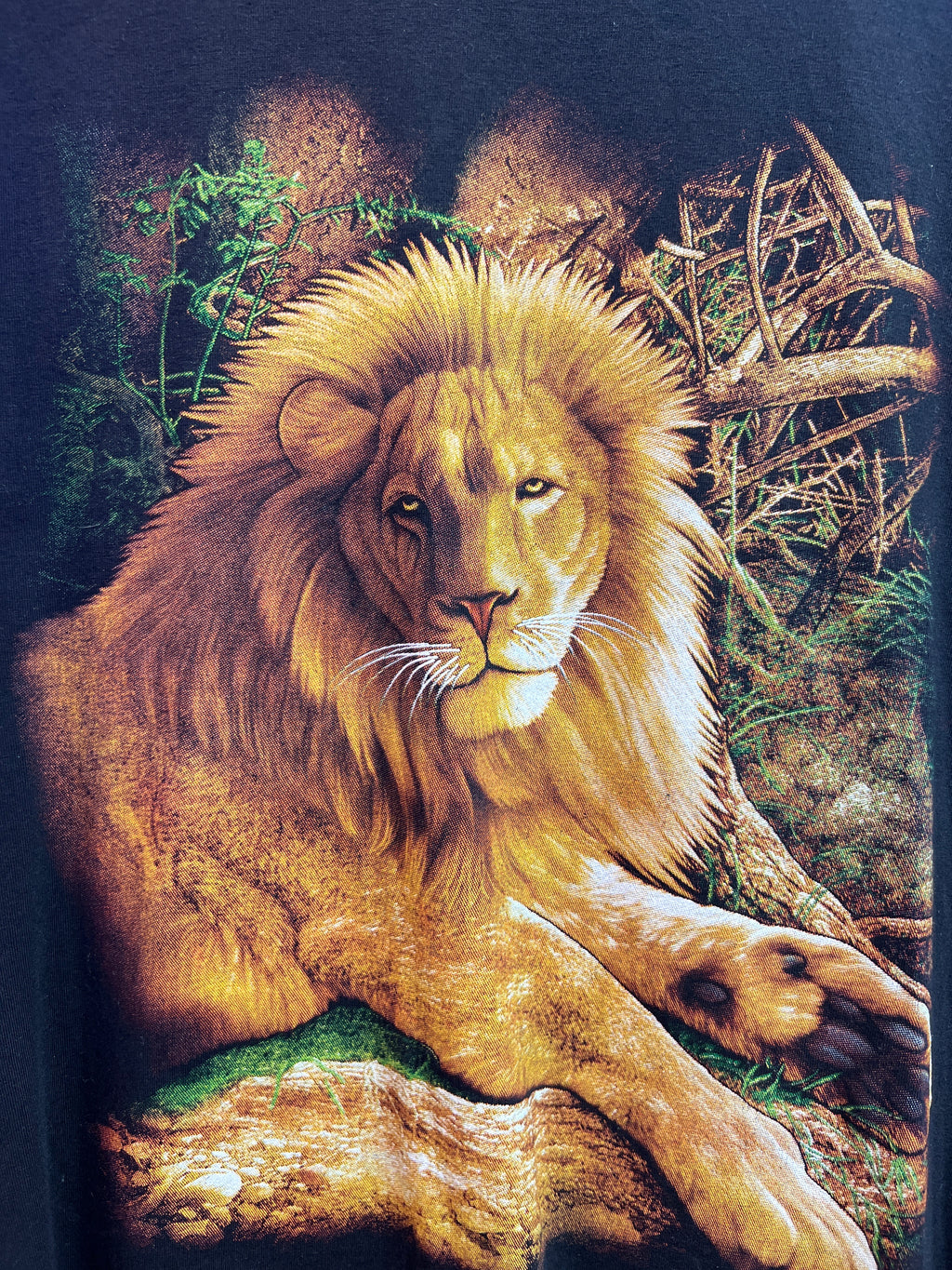 Lion posing T-shirt