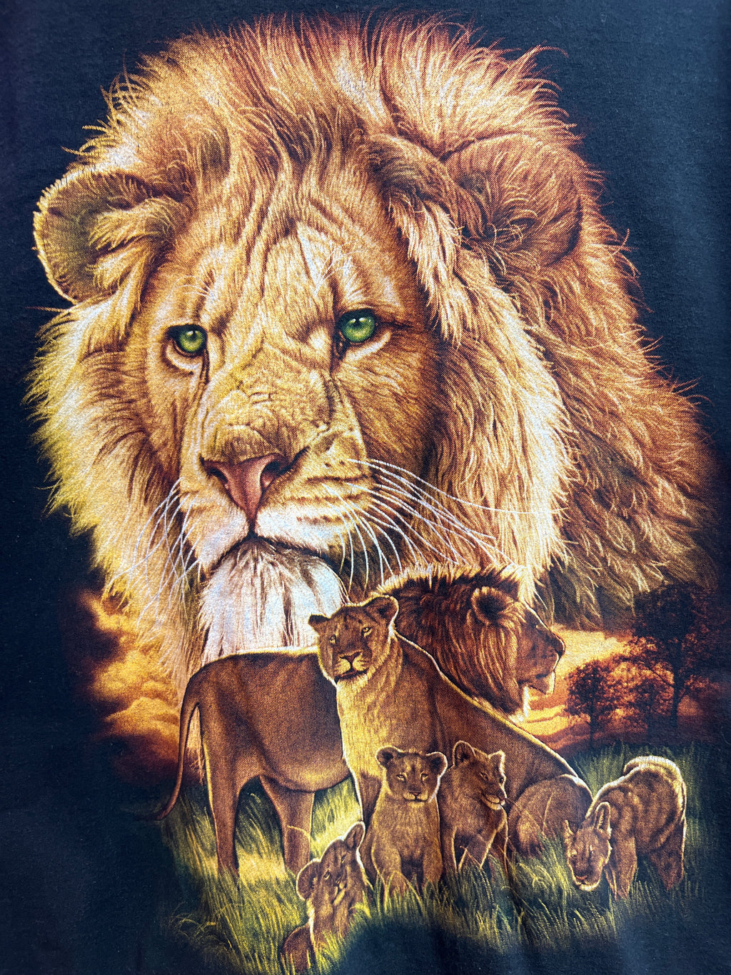 Lion t-shirt