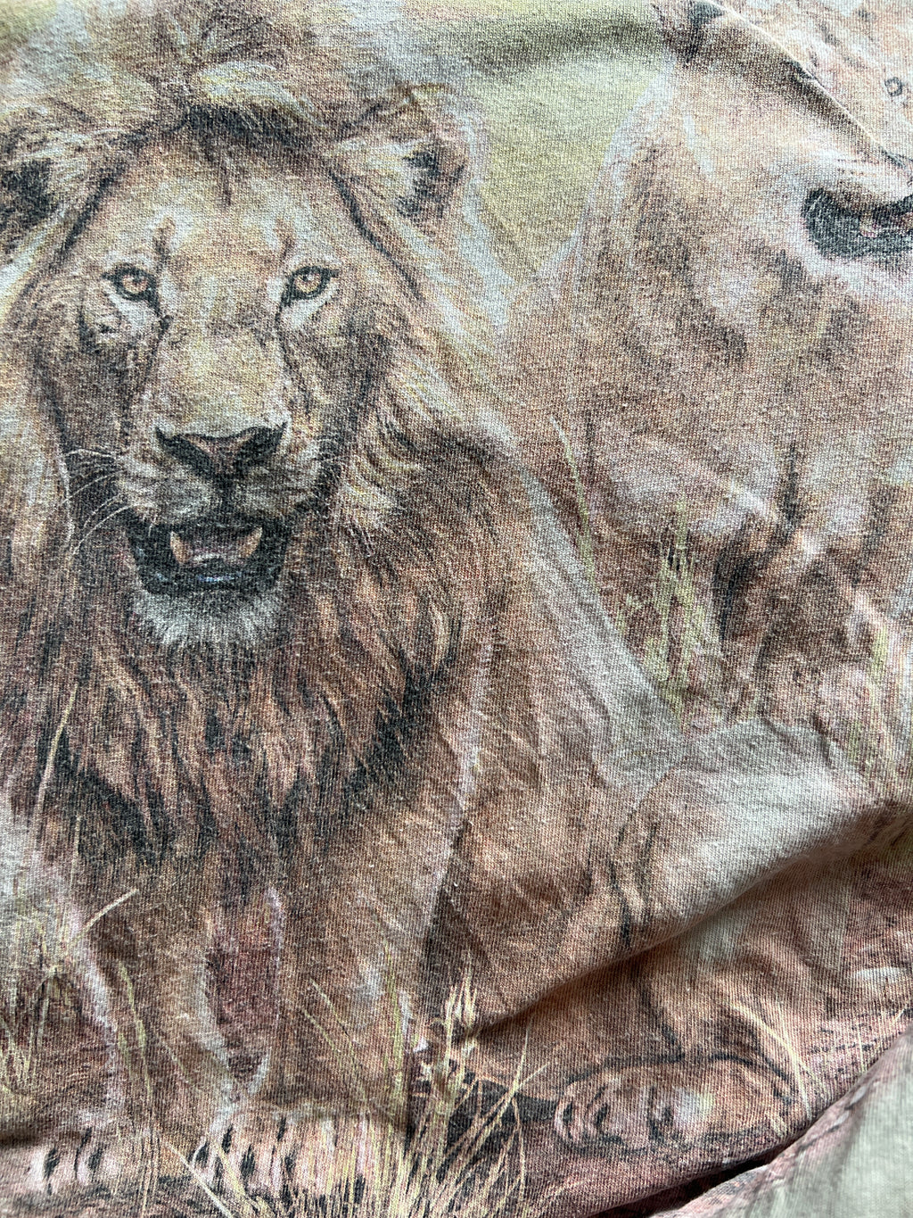 Lions The Mountain t-shirt