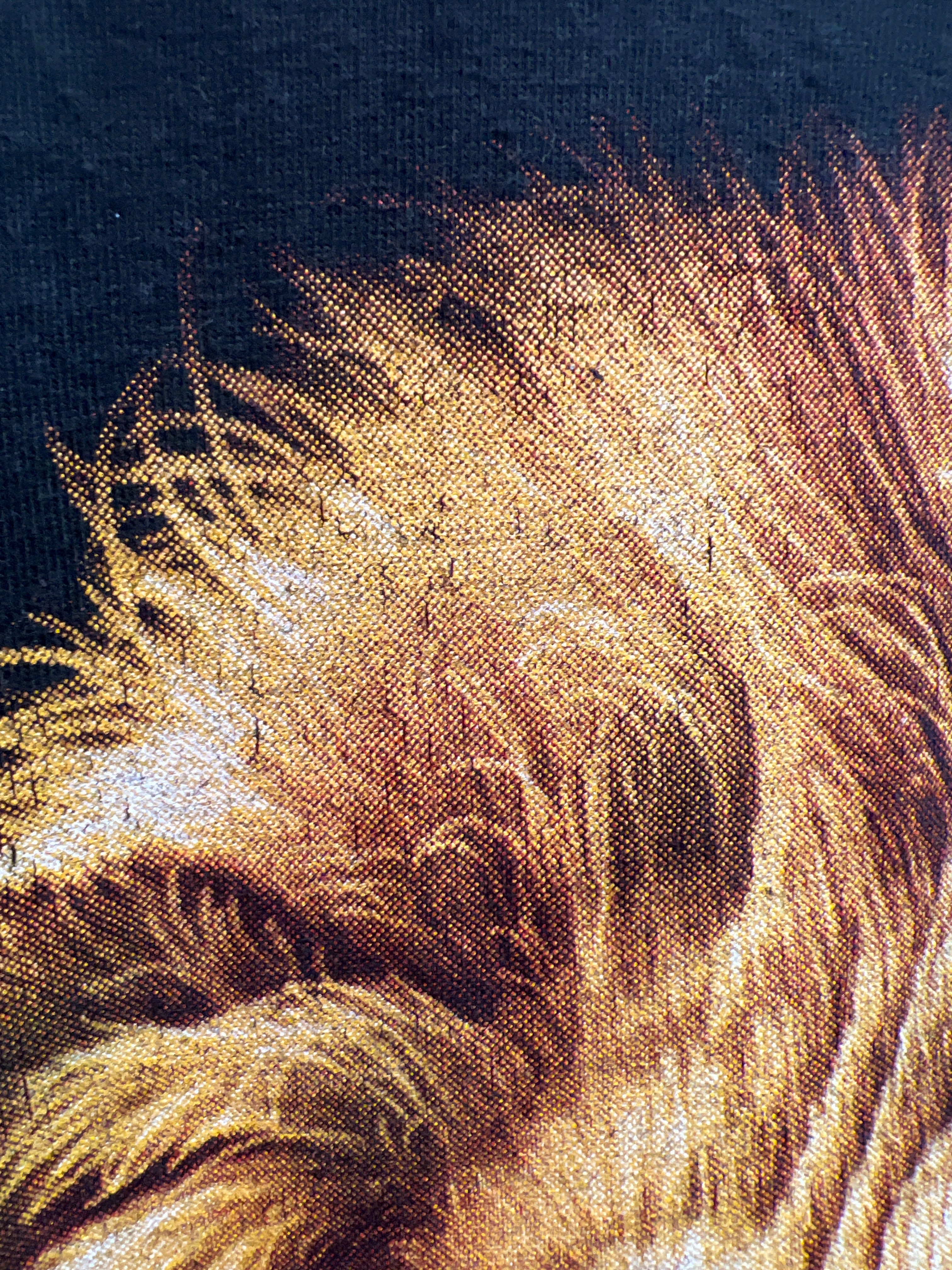 Lion t-shirt
