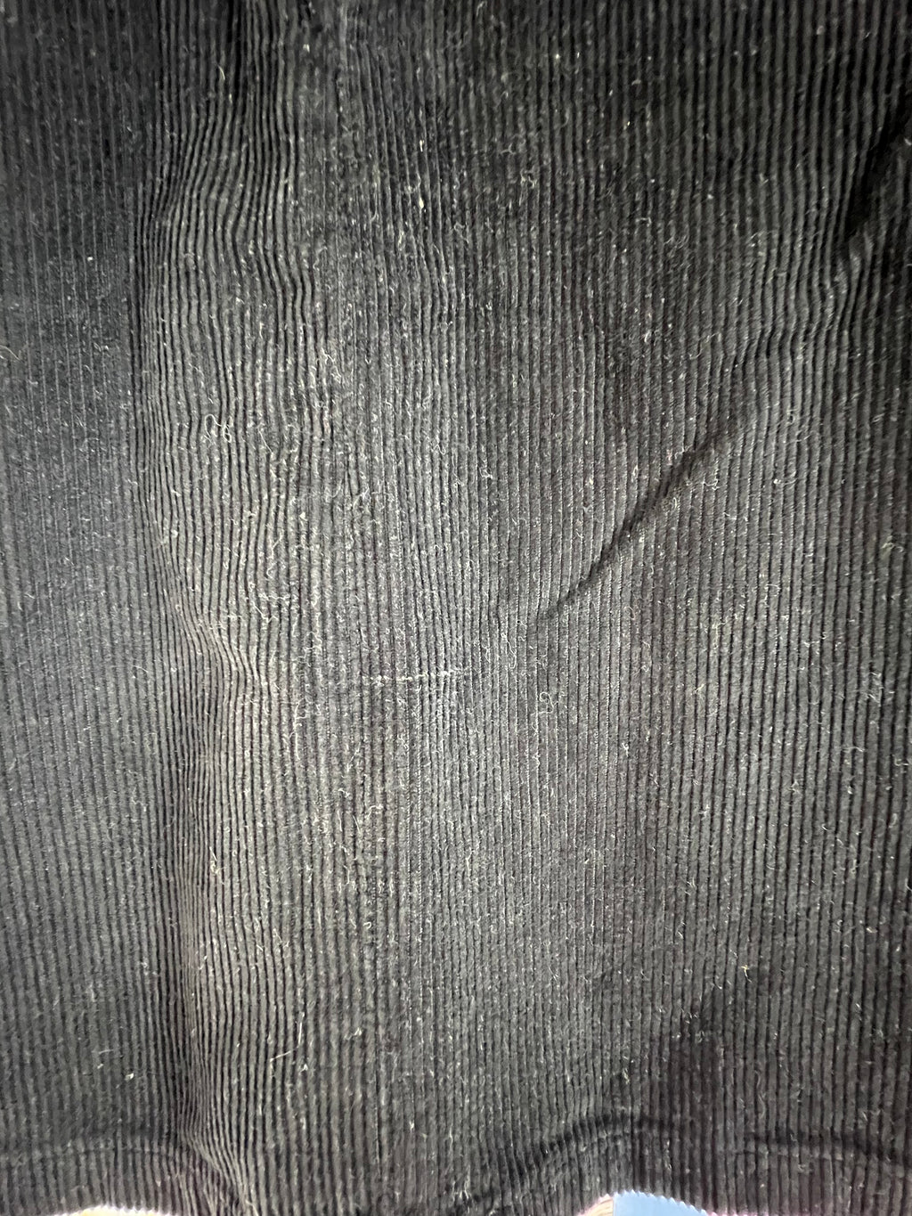 Black Pleaded Corduroy Skirt